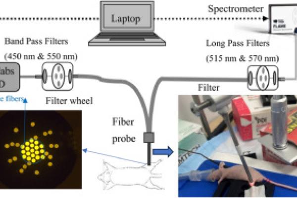 Image from research paper 
